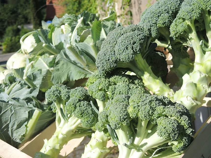 Wo bleibt die L&ouml;sung zum Einkaufen?