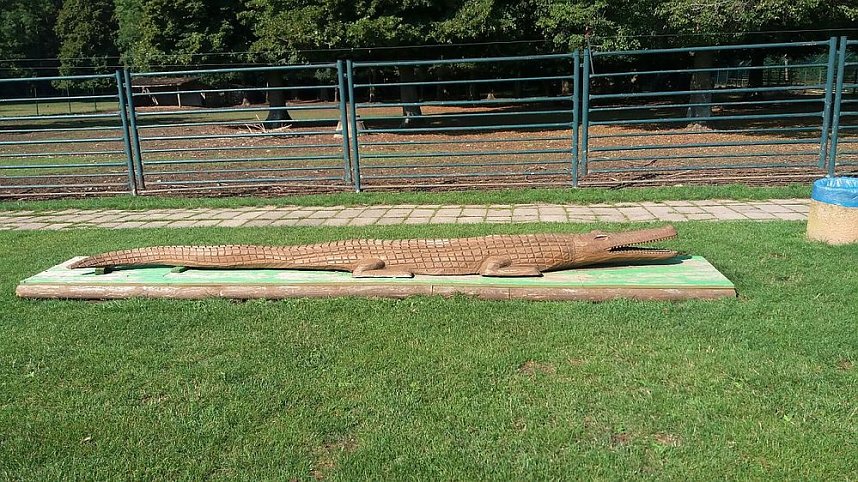 Unterwegs mit dem Verband der Behinderten