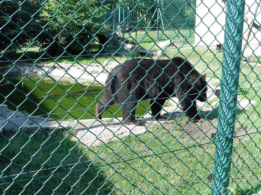 Unterwegs mit dem Verband der Behinderten