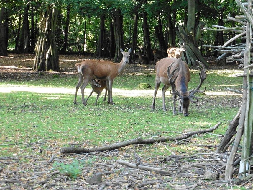 Unterwegs mit dem Verband der Behinderten