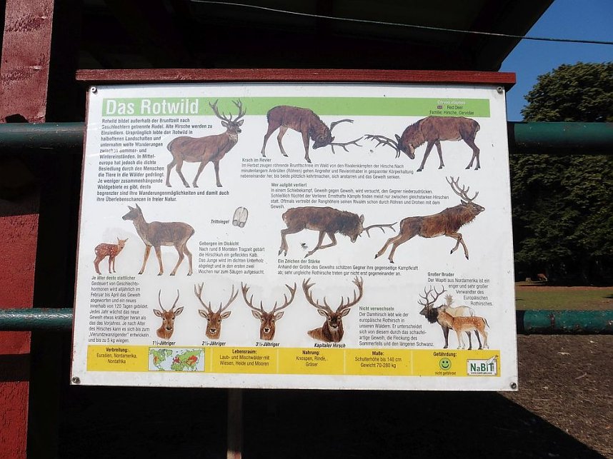 Unterwegs mit dem Verband der Behinderten