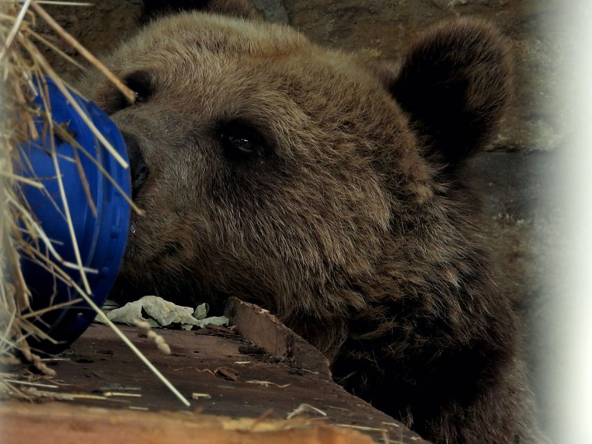 Unterwegs in Bad K&ouml;sen