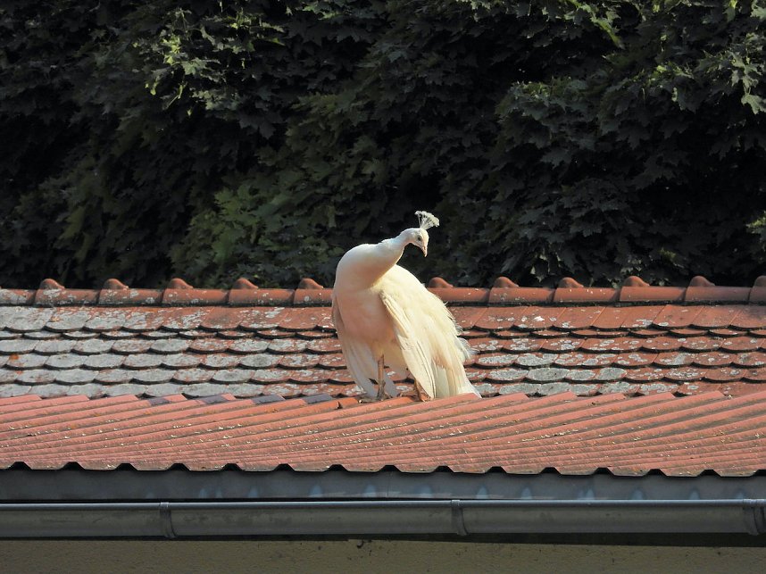 Unterwegs in Bad K&ouml;sen