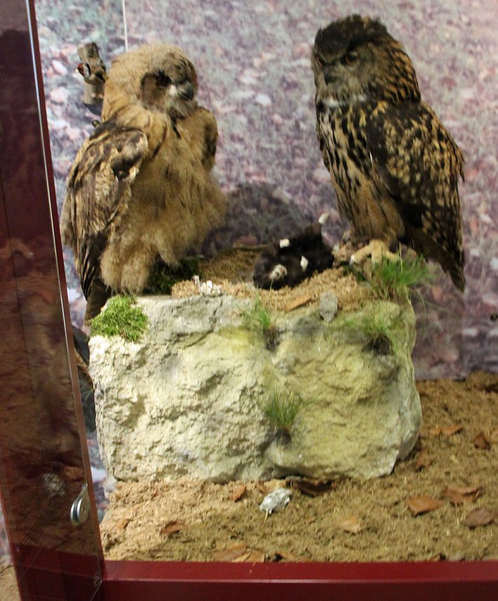 Uhus f&uuml;r das Schlossmuseum