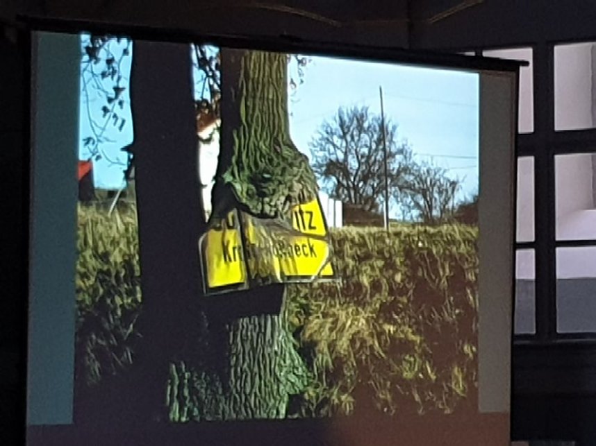 Als bliebe die Wurzel im Boden