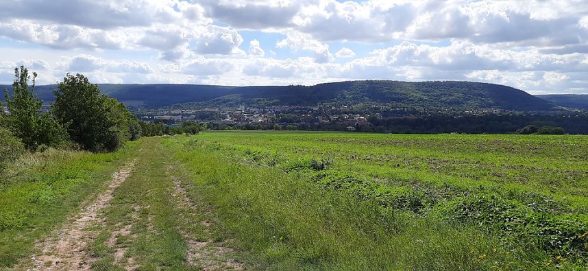 Vertrocknete B&auml;ume, B&auml;nke und mehr