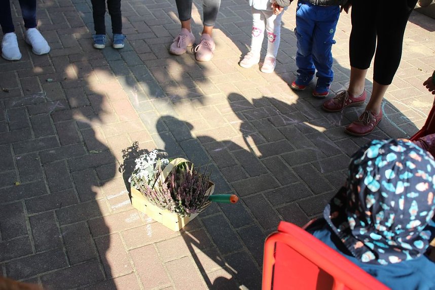 Herbstputz und Herbstpflanzung in Stocksen