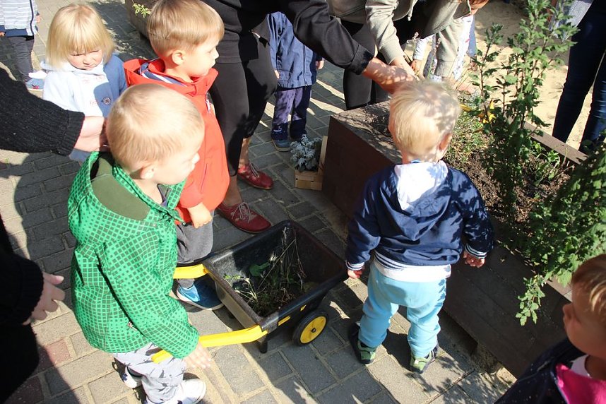 Herbstputz und Herbstpflanzung in Stocksen