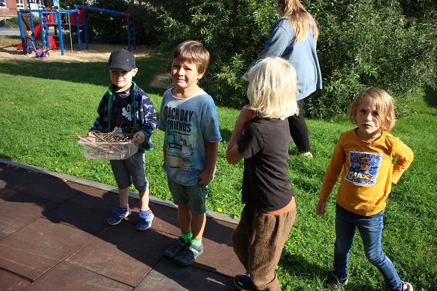 Herbstputz und Herbstpflanzung in Stocksen