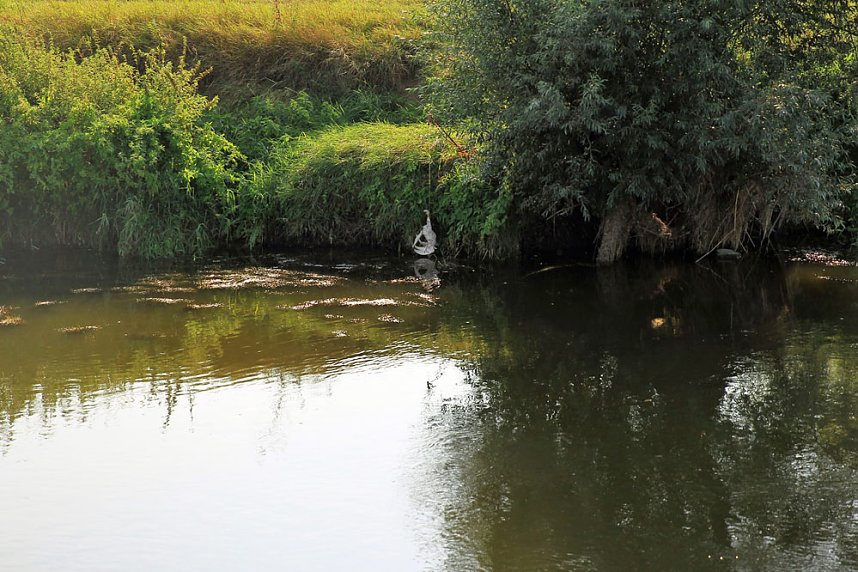 Unstrut Krokodil l&auml;sst sich nicht locken