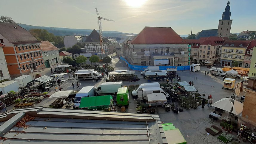 Pflanzenmarkt in Sondershausen gut besucht