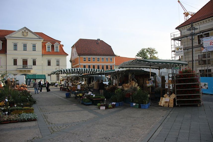 Pflanzenmarkt in Sondershausen gut besucht