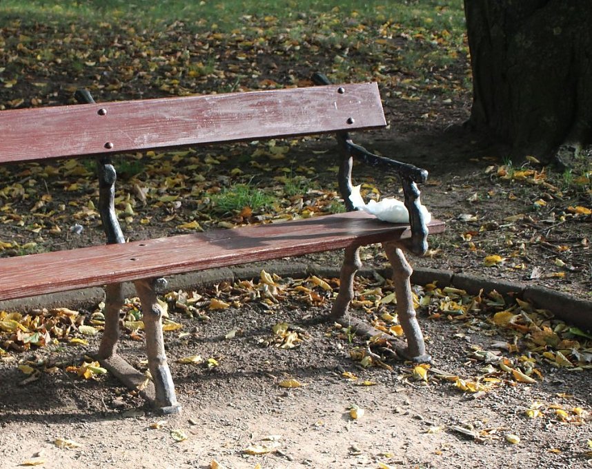 Gang durch den Schlosspark