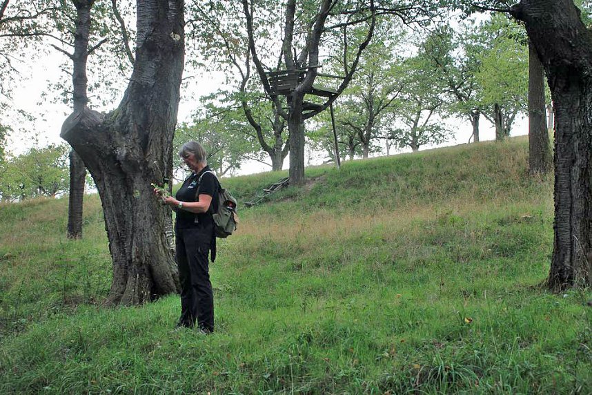 Unternehmer in der Hohen Schrecke
