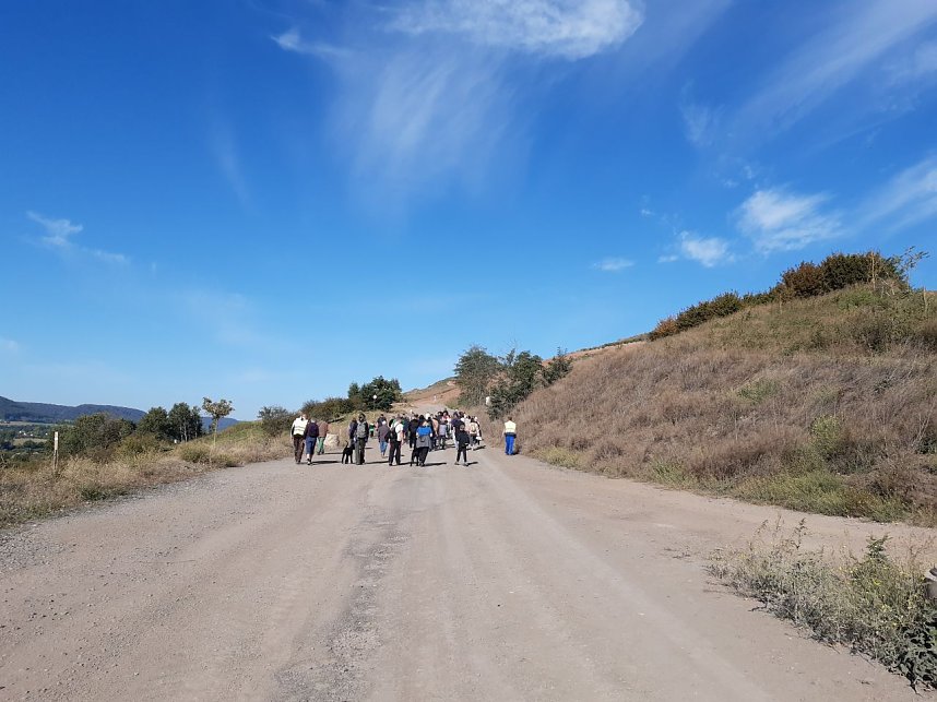 Haldenwanderung zum Tag des Geotops