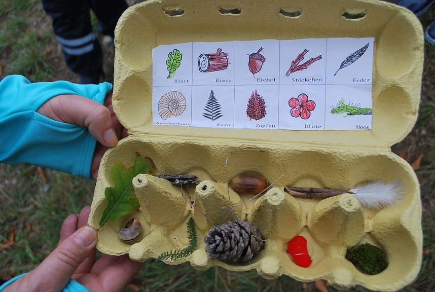 Sollen wir oder sollen wir nicht?