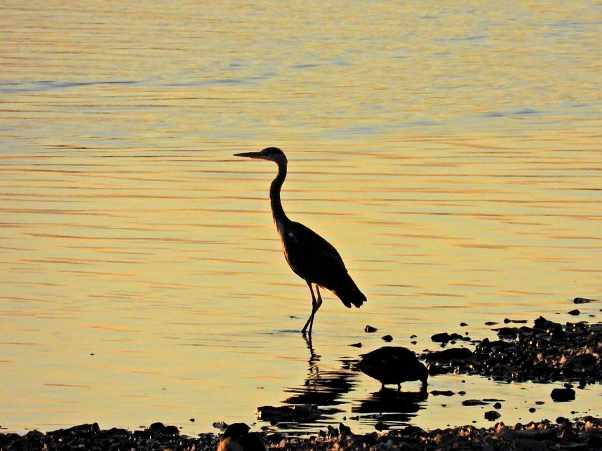 Peter Blei unterwegs am Stausee Kelbra