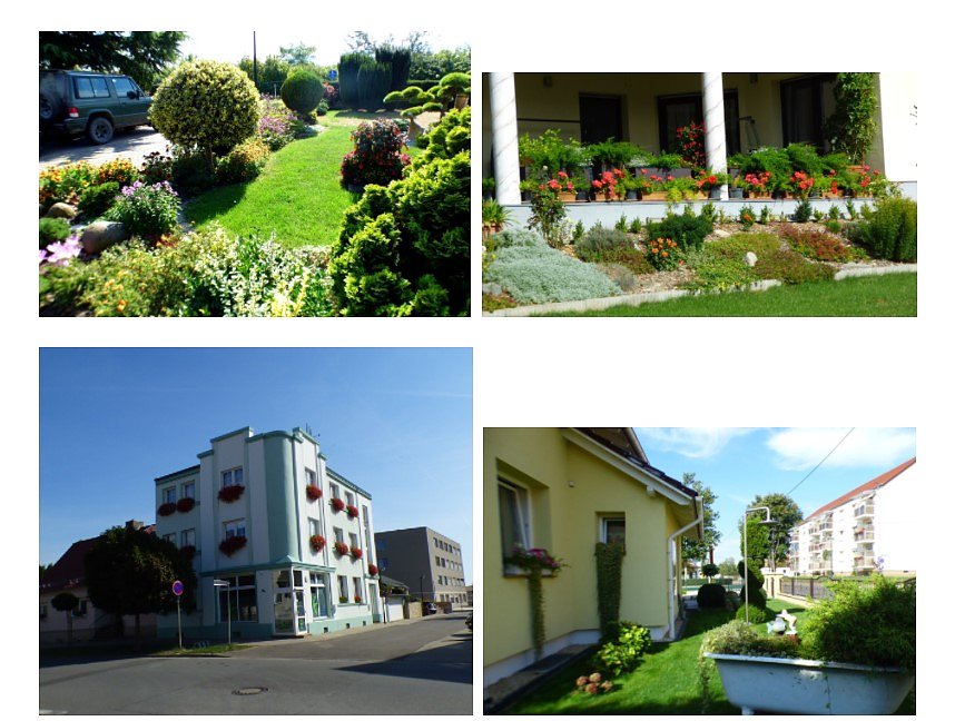 Gro&szlig;e Beteiligung am 26. "Frankenh&auml;user Blumensommer" 2020