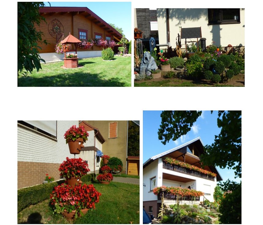 Gro&szlig;e Beteiligung am 26. "Frankenh&auml;user Blumensommer" 2020