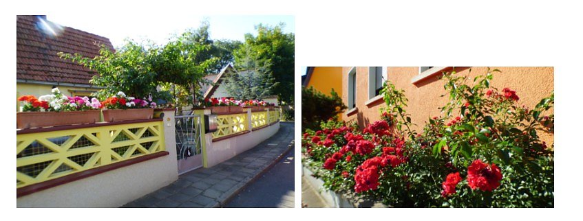 Gro&szlig;e Beteiligung am 26. "Frankenh&auml;user Blumensommer" 2020