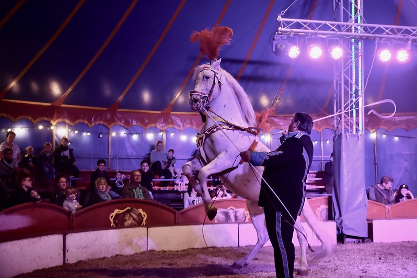 Circus Atlantik am Scheunenhof