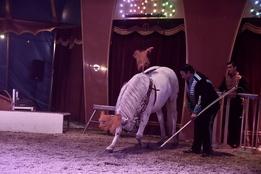 Circus Atlantik am Scheunenhof