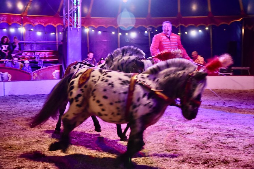 Circus Atlantik am Scheunenhof