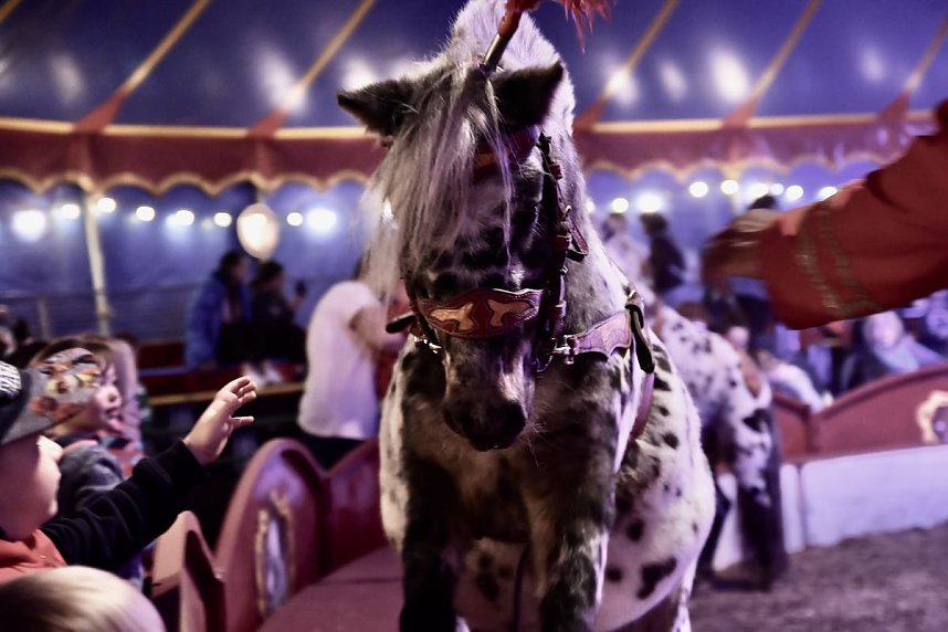 Circus Atlantik am Scheunenhof