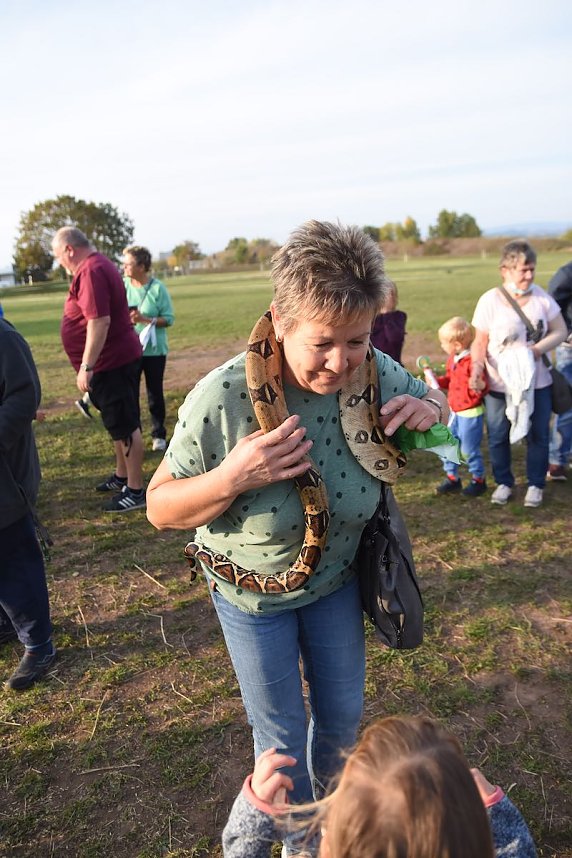 Circus Atlantik am Scheunenhof