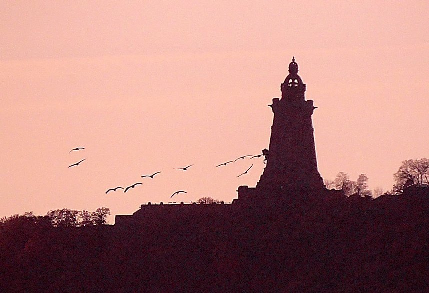 Kranichf&uuml;hrung am Stausee Kelbra