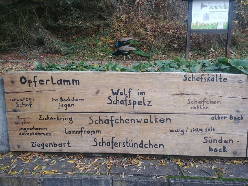 Besuch im Alternativen B&auml;renpark in Worbis