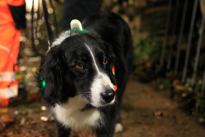 Suche war erfolgreich