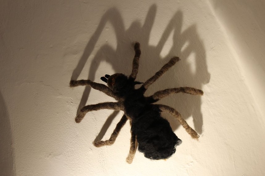 Kunstwerke aus Filz von Gabriele Hoffmann im Regionalmuseum Bad Frankenhausen