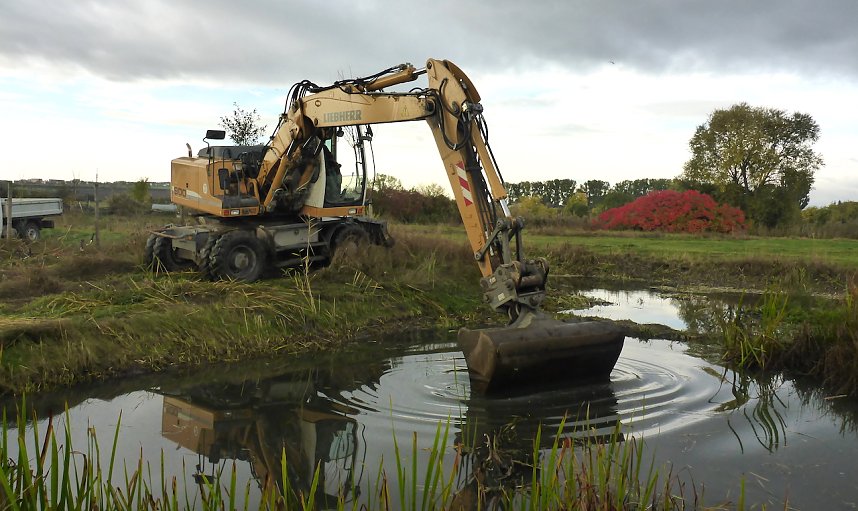 Neue Lebensr&auml;ume werden geschaffen