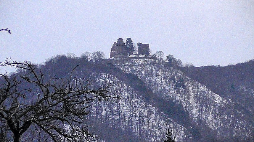 Winterimpressionen aus der Goldenen Aue