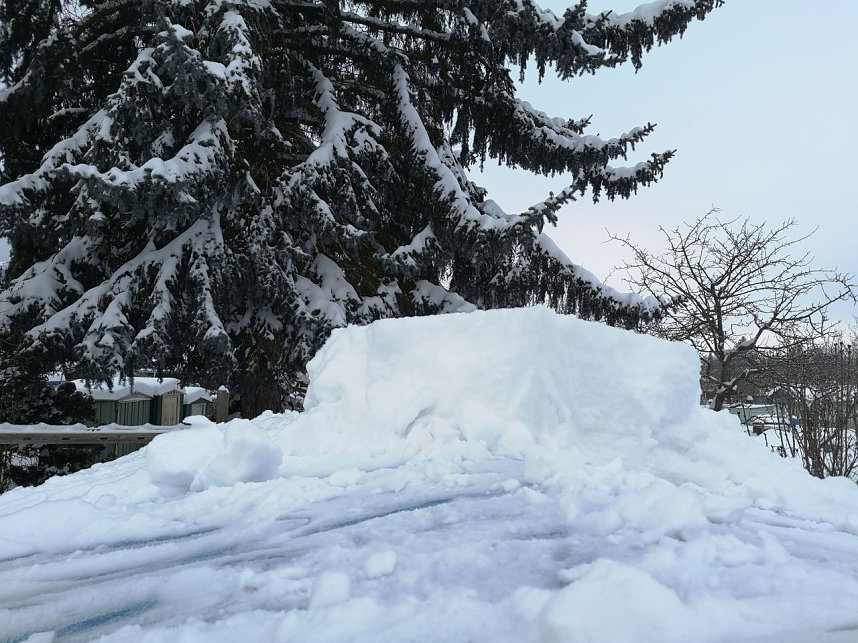 Ansichten eines Sondersh&auml;users