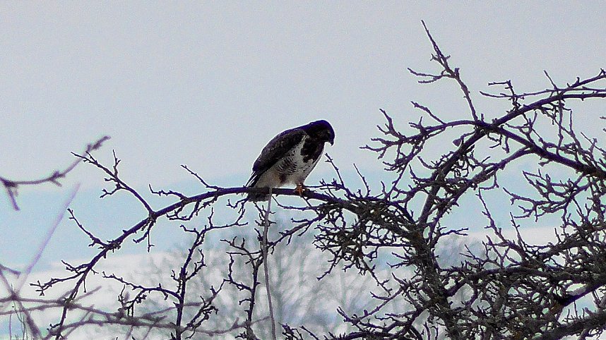 Winterzauber in der Goldenen Aue