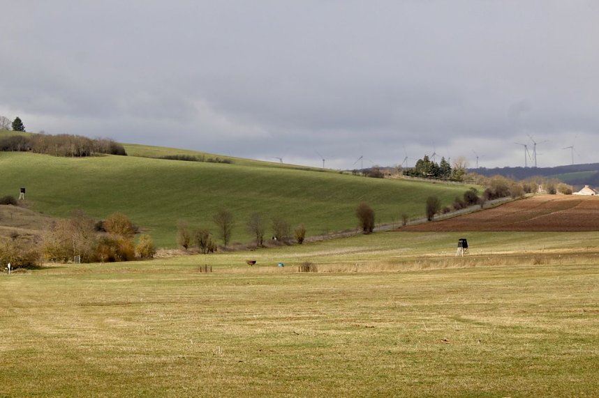 Erster Fr&uuml;hlingssonntag in diesem Jahr