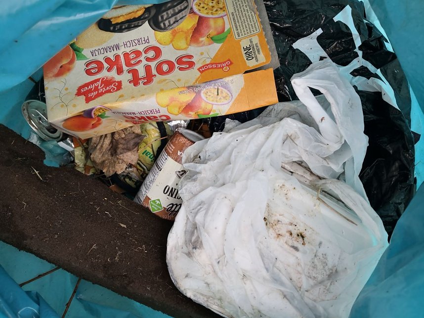 Aktion "saubere Stadt" in Sondershausen