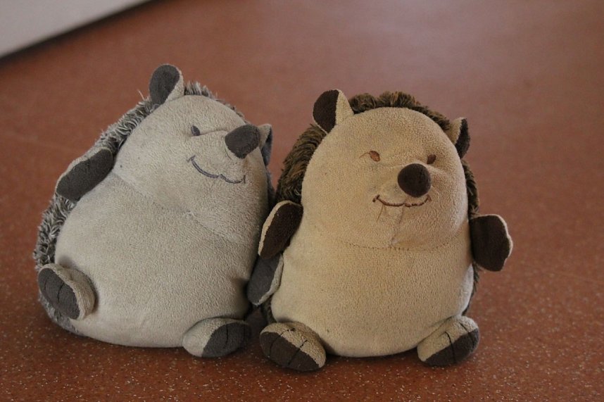 KIta Arche Noah in Sondershausen Stockhausen