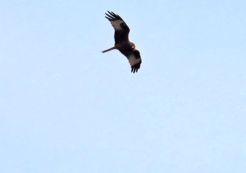Peter Blei unterwegs am Stausee Kelbra