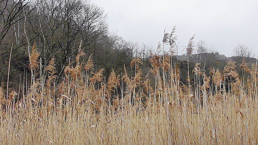 Unterwegs an der Numburg