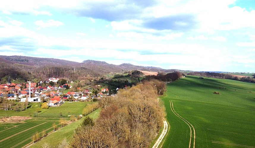 Neustadt und seine Holzlok