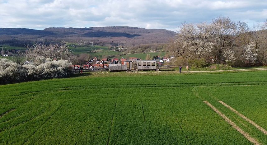 Neustadt und seine Holzlok