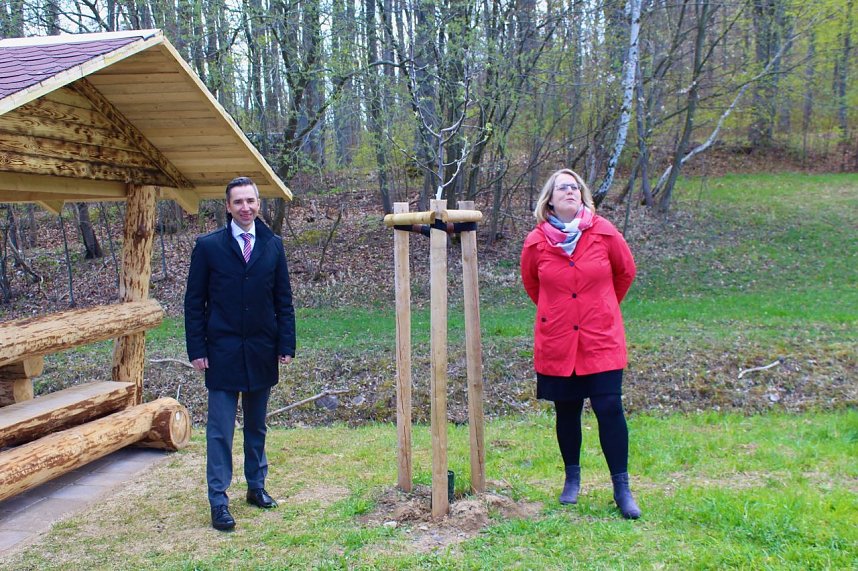 Erste Preis - Ein Apfelb&auml;umchen