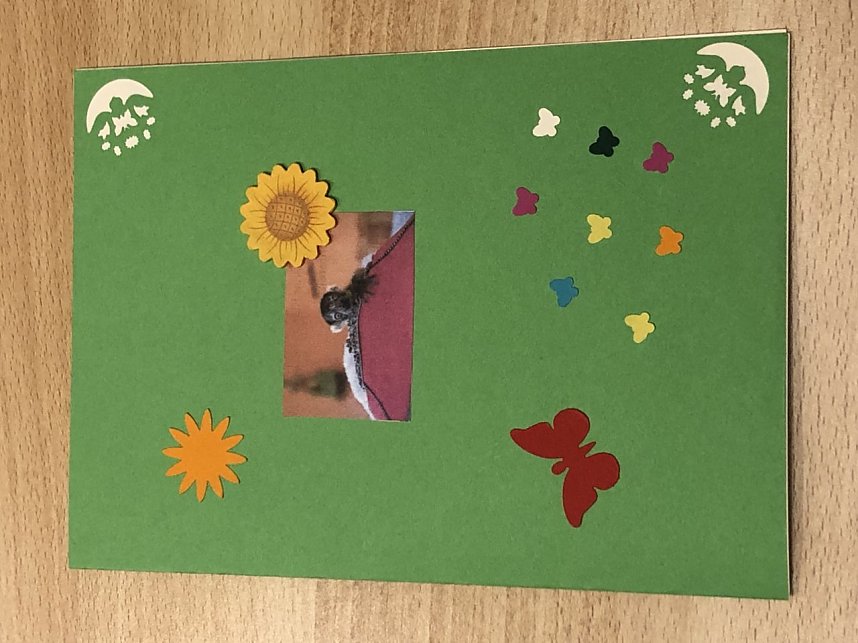 Eine ganze Reiher wundersch&ouml;ner Karten kam gestern im Affenwald an