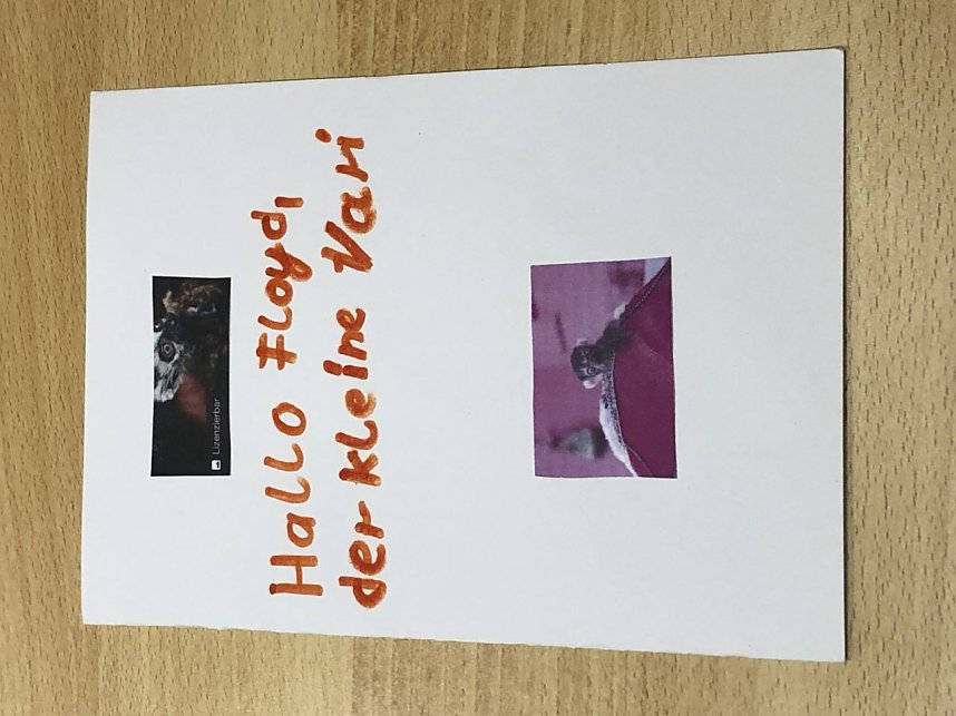 Eine ganze Reiher wundersch&ouml;ner Karten kam gestern im Affenwald an