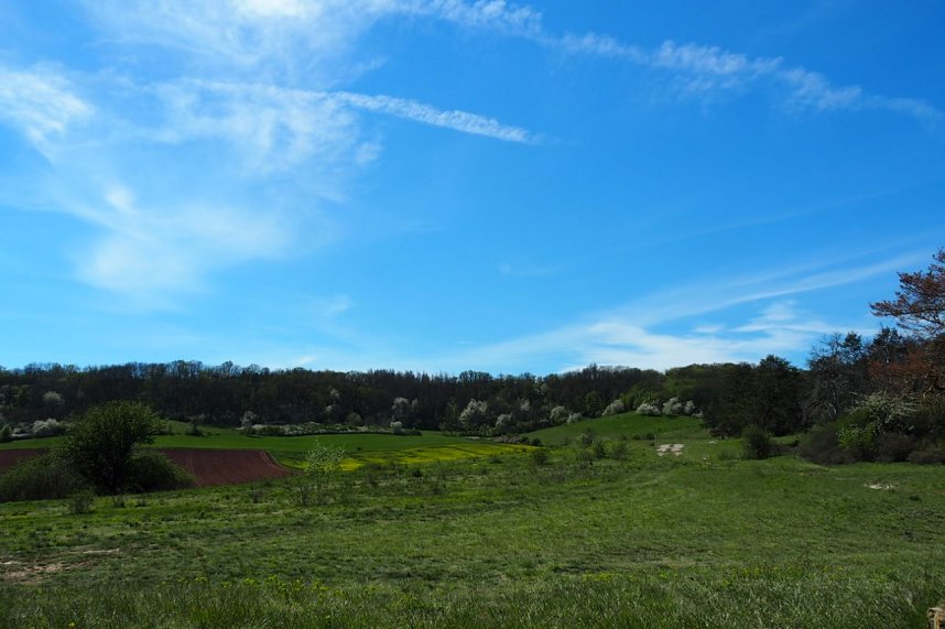 Unterwegs am Stausee Kelbra