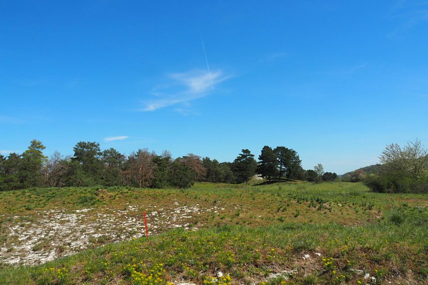 Unterwegs am Stausee Kelbra