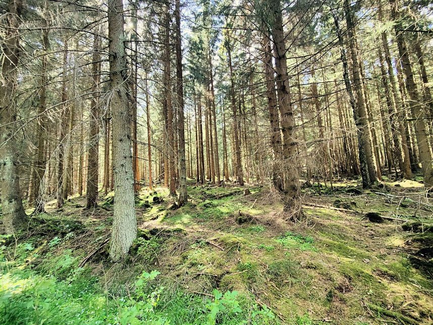 Peter Blei unterwegs bei Benneckenstein